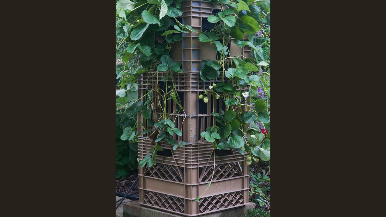 milk crate gardening bed tower with strawberries