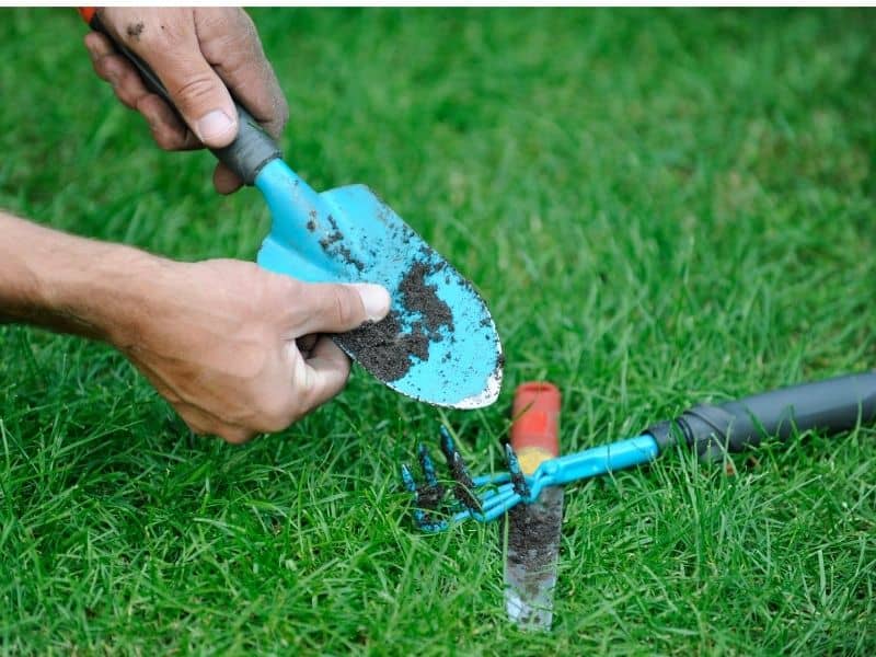 Man cleaning dirt off his garden tools