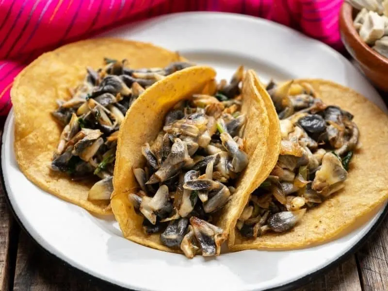 Corn smut tacos, a delicacy in Mexican restaurants