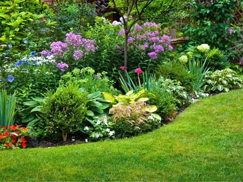 Hillside Landscaping Ideas For Easy To, How To Landscape A Steep Slope For Beauty And Low Maintenance
