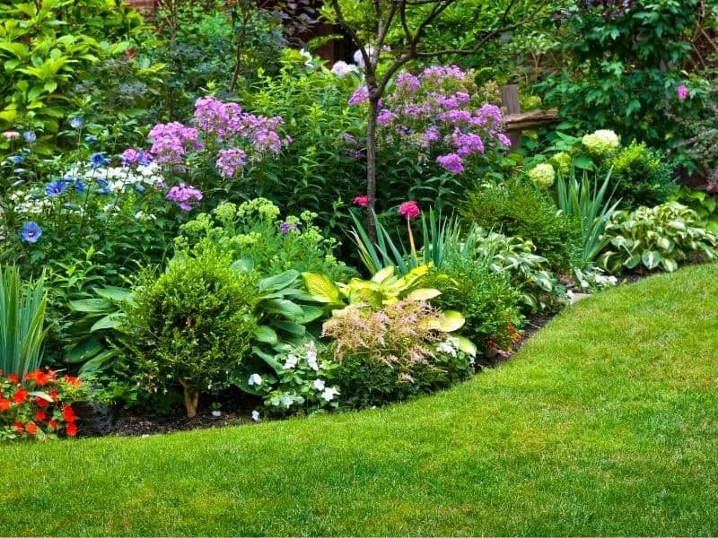 Curved landscaping on a slope