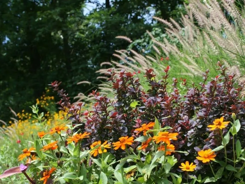 Hillside flower garden