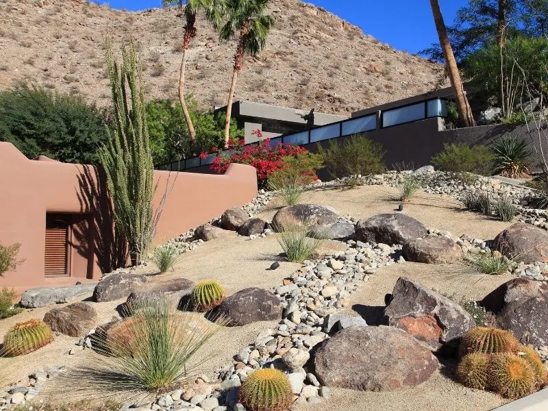 Hillside xeriscape