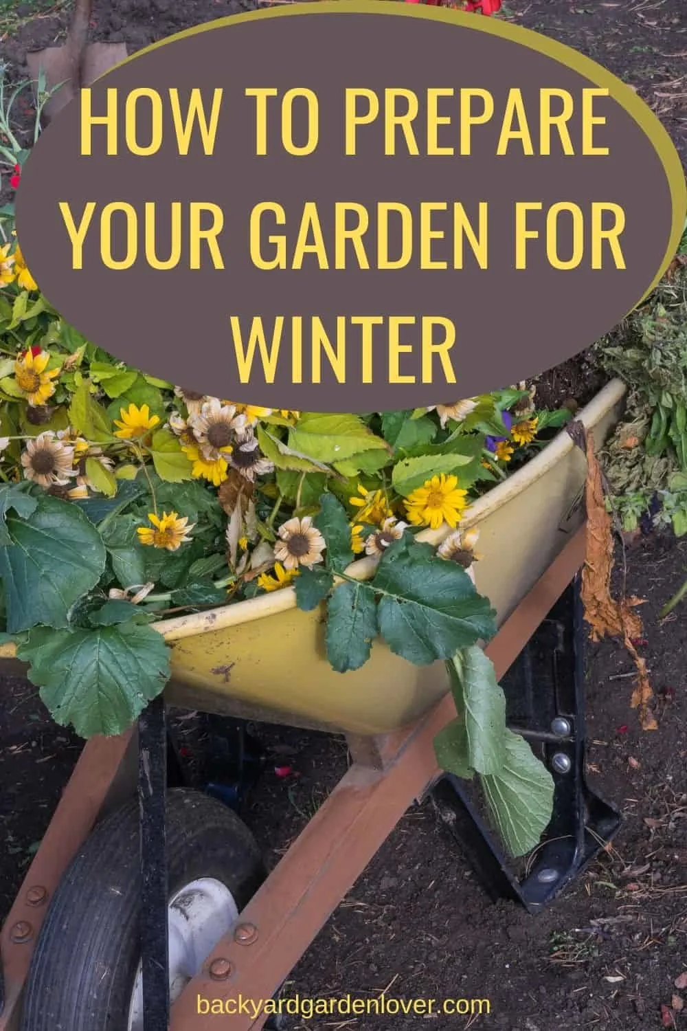 How to prepare your garden for winter - Pinteress image