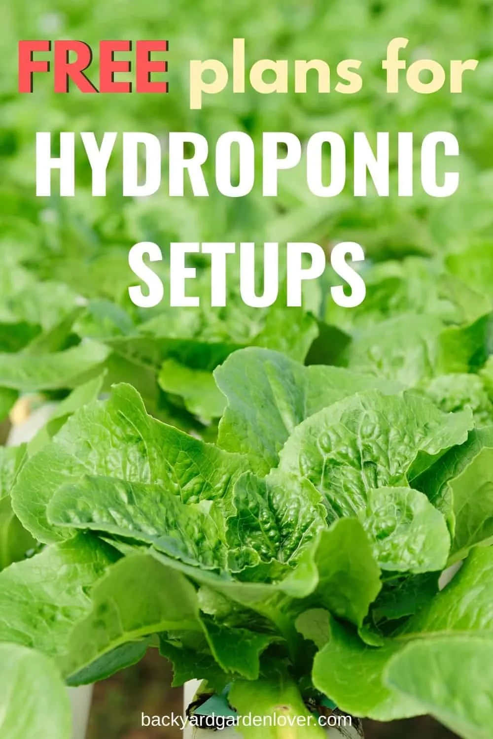Free plans for hydroponic setups