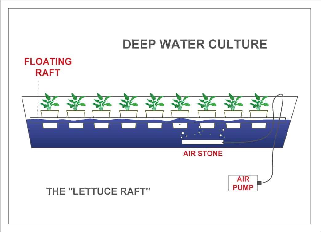 Diagram of a lettuce raft hydroponic system