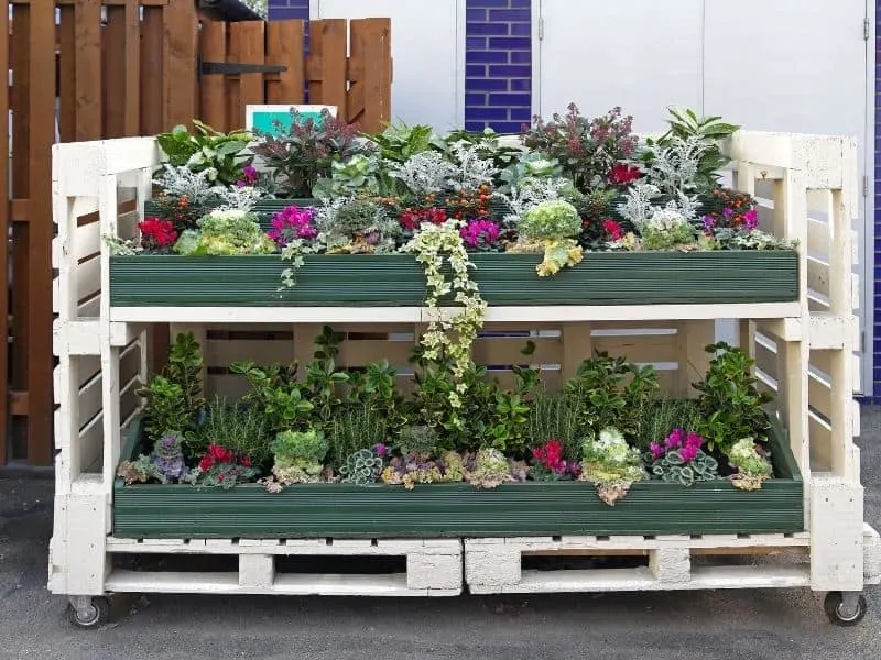 Raised bed garden made from pallets