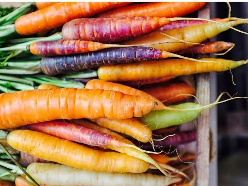 A pile of colorful carrots in a box