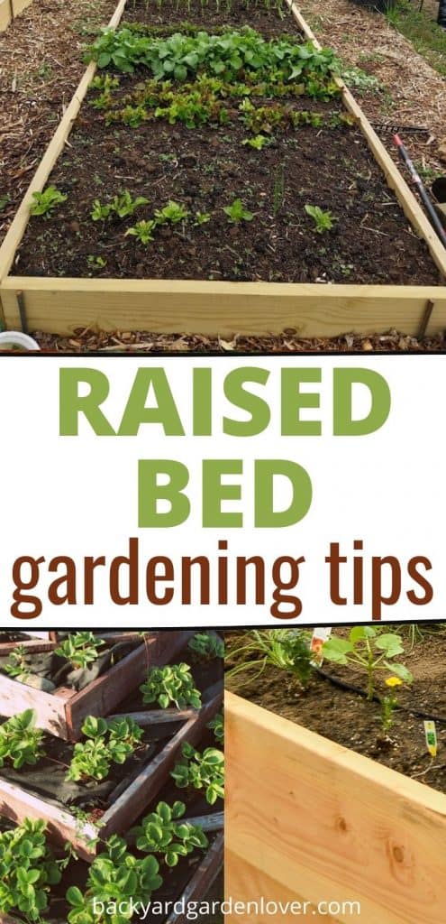 Raised bed gardening tips - Pinterest image