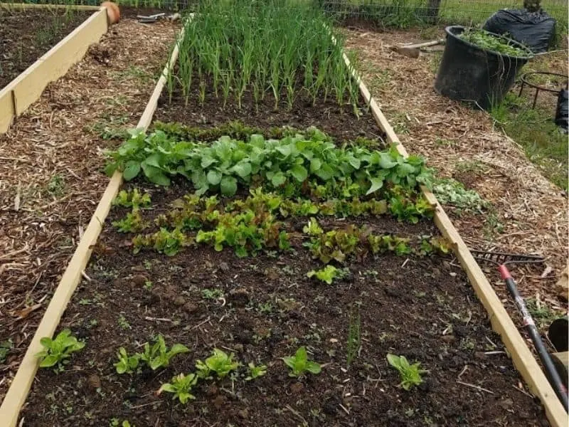 Raised garden bed