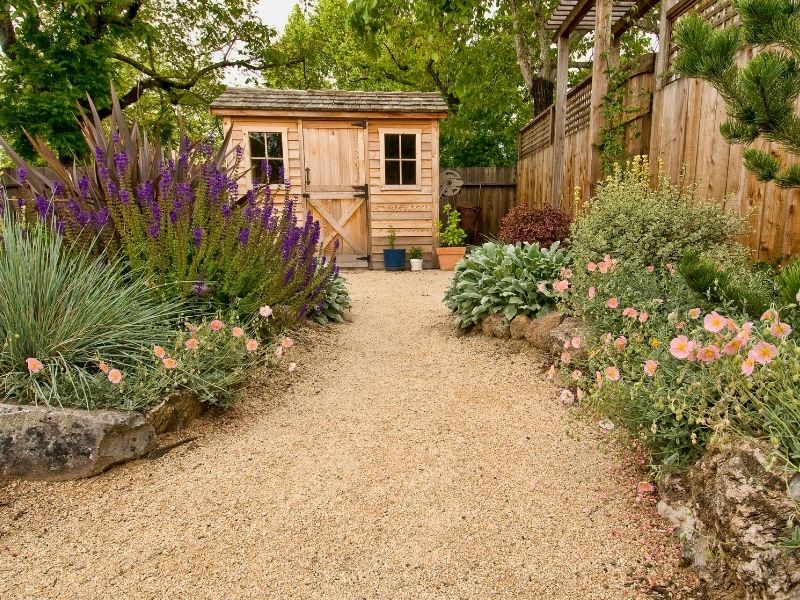 Path to a shed, surrounded by flowers on the side