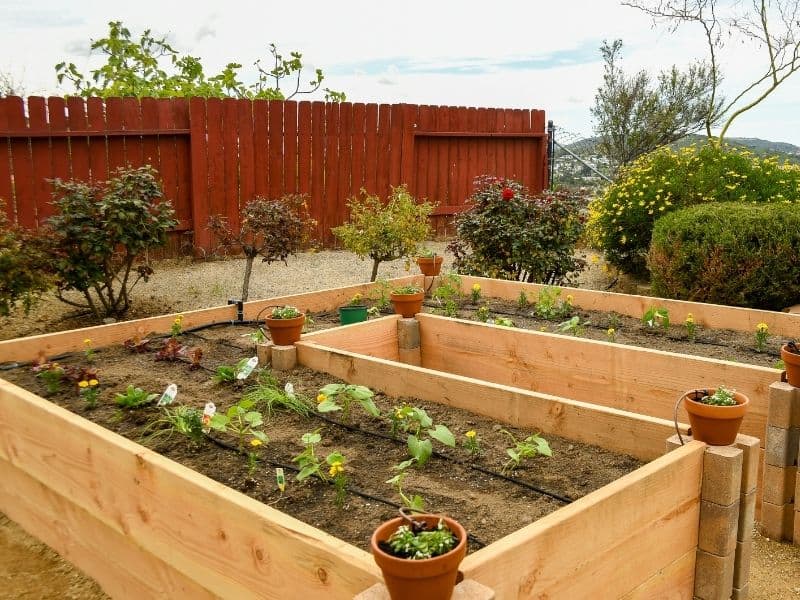 U shaped garden bed