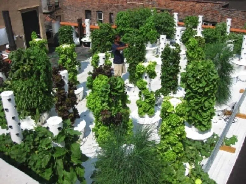 Vertical hydroponic farm