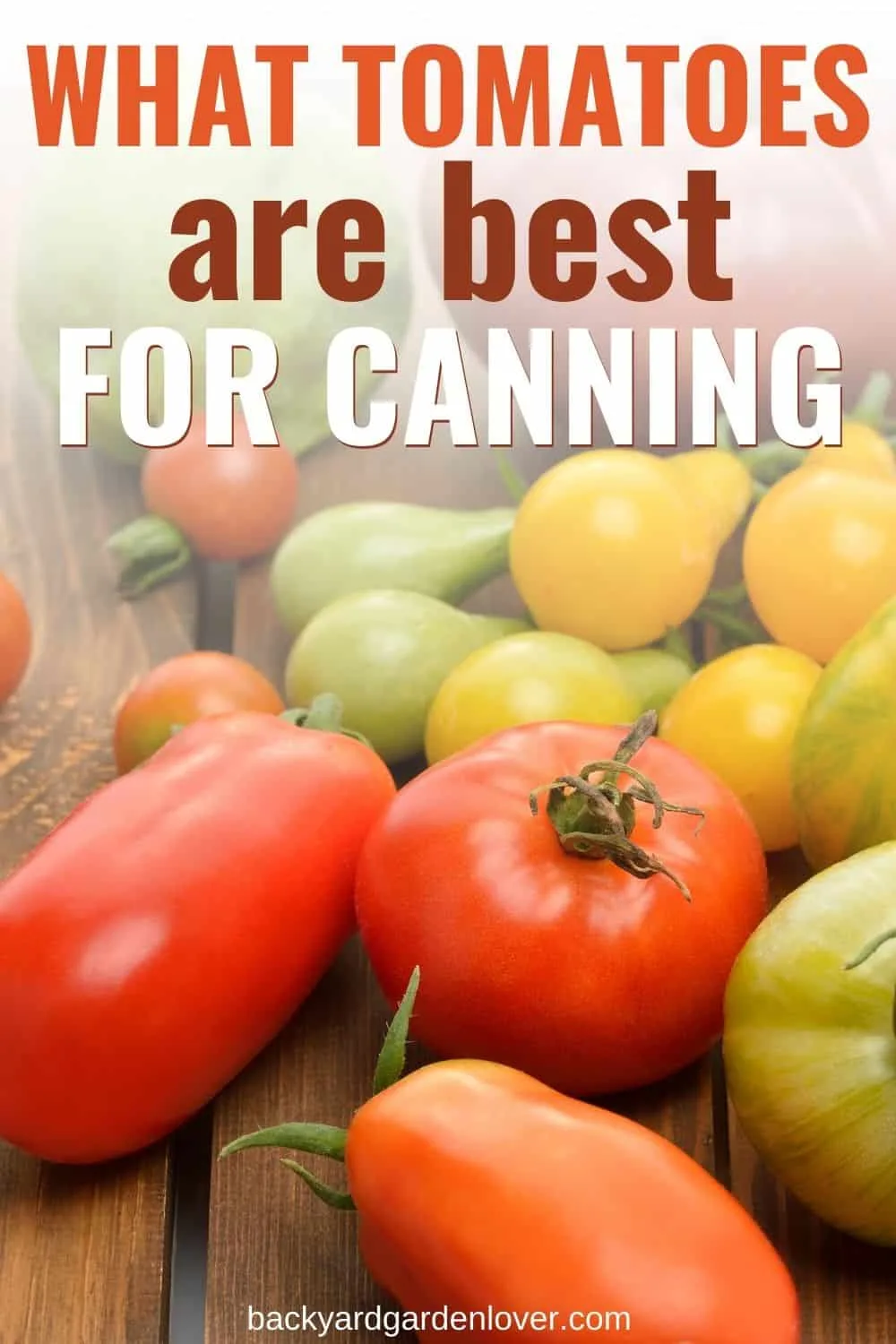 What tomatoes are best for canning - Pinterest image