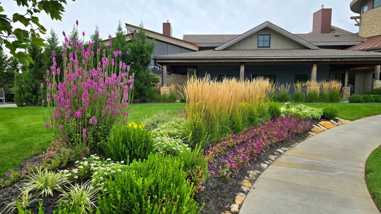 A beautiful garden right next to a side walk in front of a farm house style building. Purple and white flowers are growing in the garden,