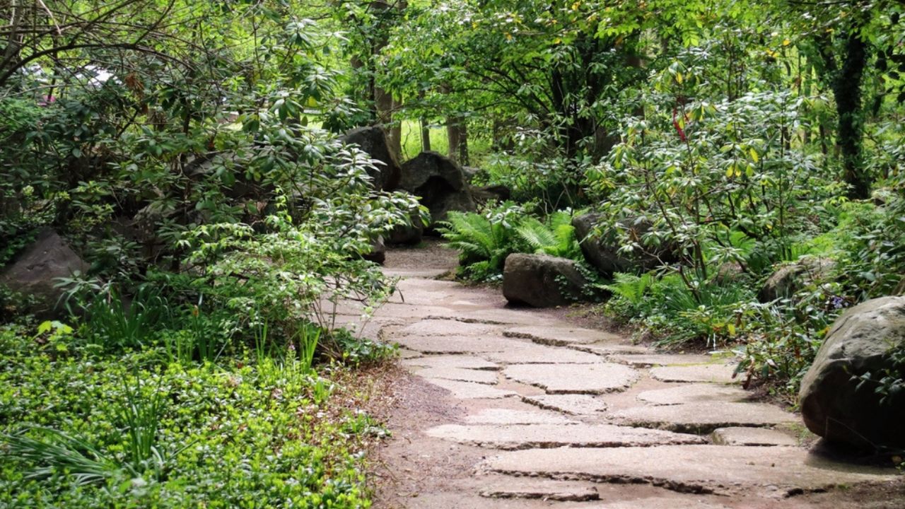 A winding stone path meanders through a lush, green woodland garden, inviting exploration amidst ferns, moss-covered rocks, and dappled sunlight filtering through the trees.