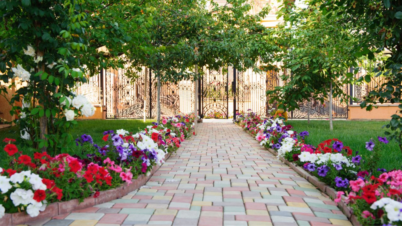 Colorful brick footpath with flowers at the backyard