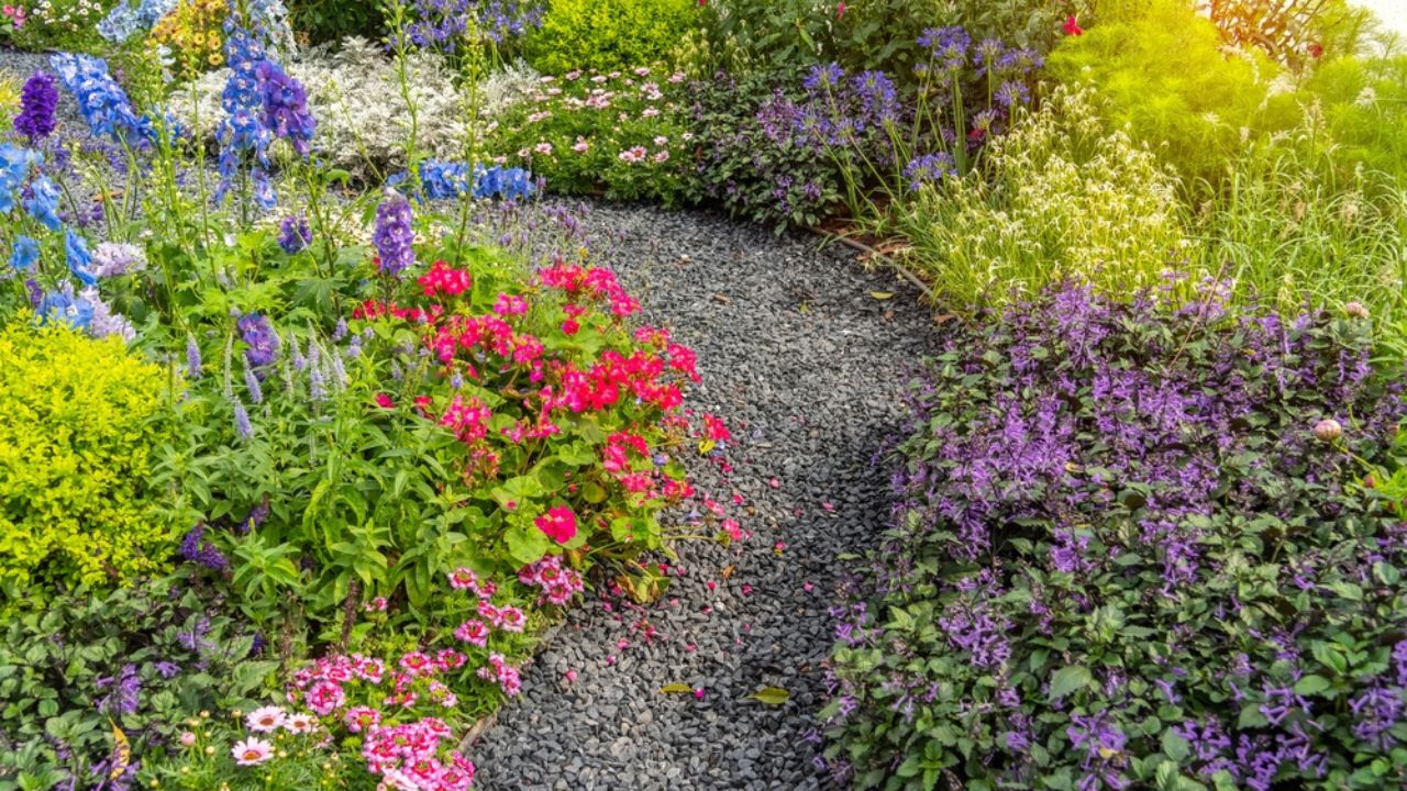 Colorful flowers with rock path leading through a flower garden