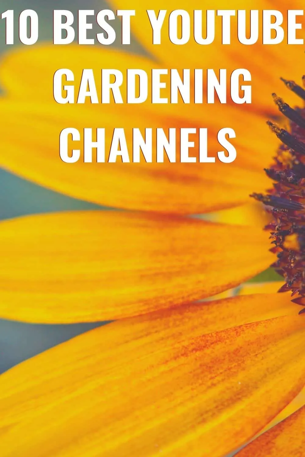 Best YouTube gardening channels