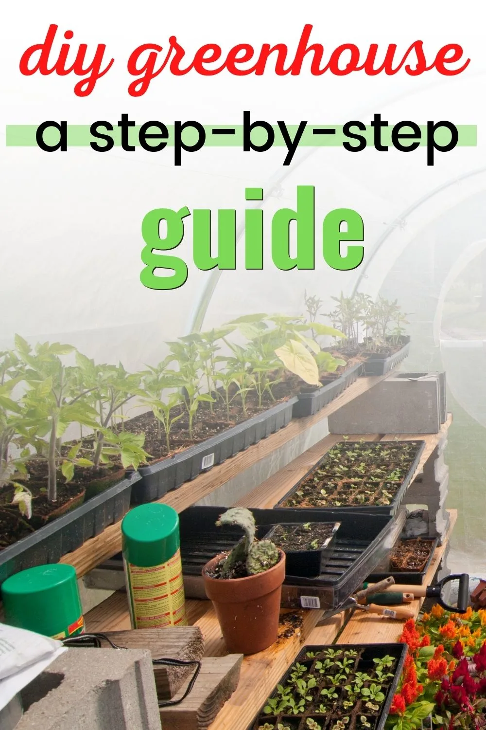 DIY Greenhouse - a step-by-step guide 