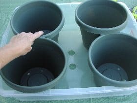 Pots placed at the bottom of the plastic bucket 