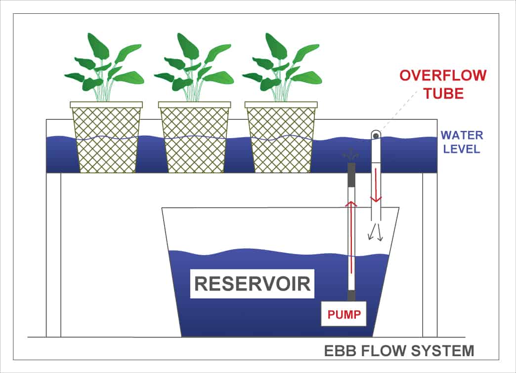 Ebb and flow diagram