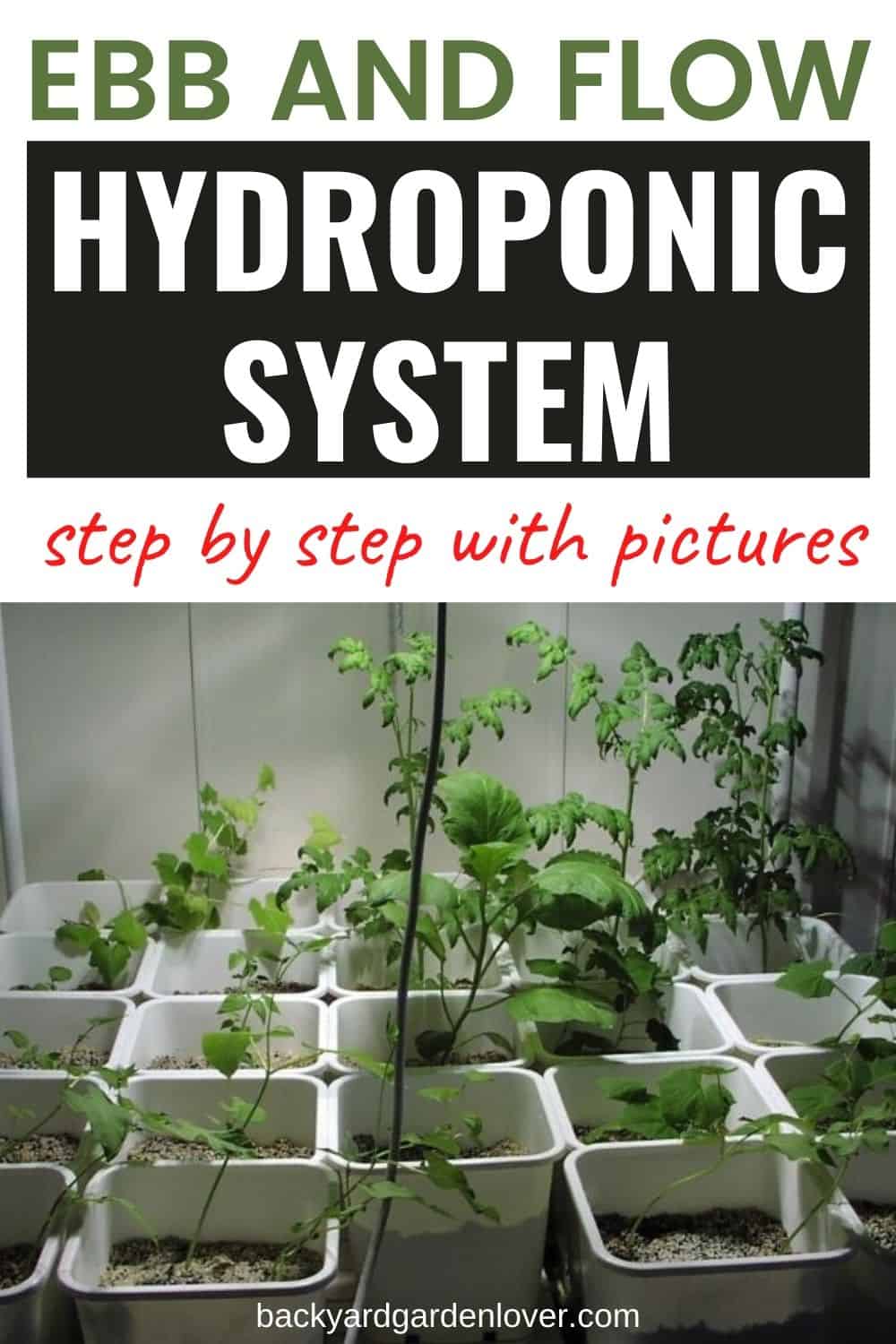 DIY ebb and flow hydroponic system