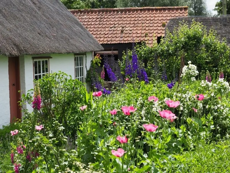 English cottage garden