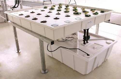 FArmTek ebb and flow system