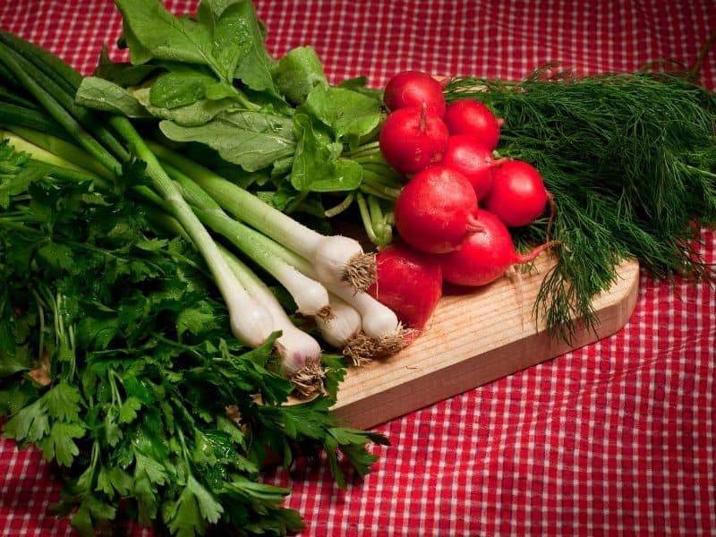 green onions, radishes, dill and parsley on a cutting board