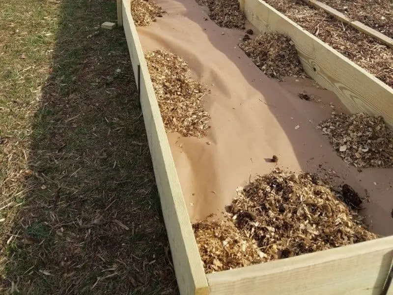 Raised bed with a layer of cardboard at the bottom