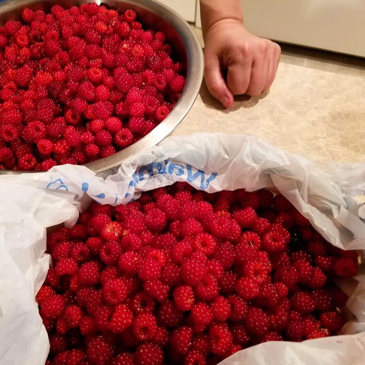 freshly picked wine-berries.