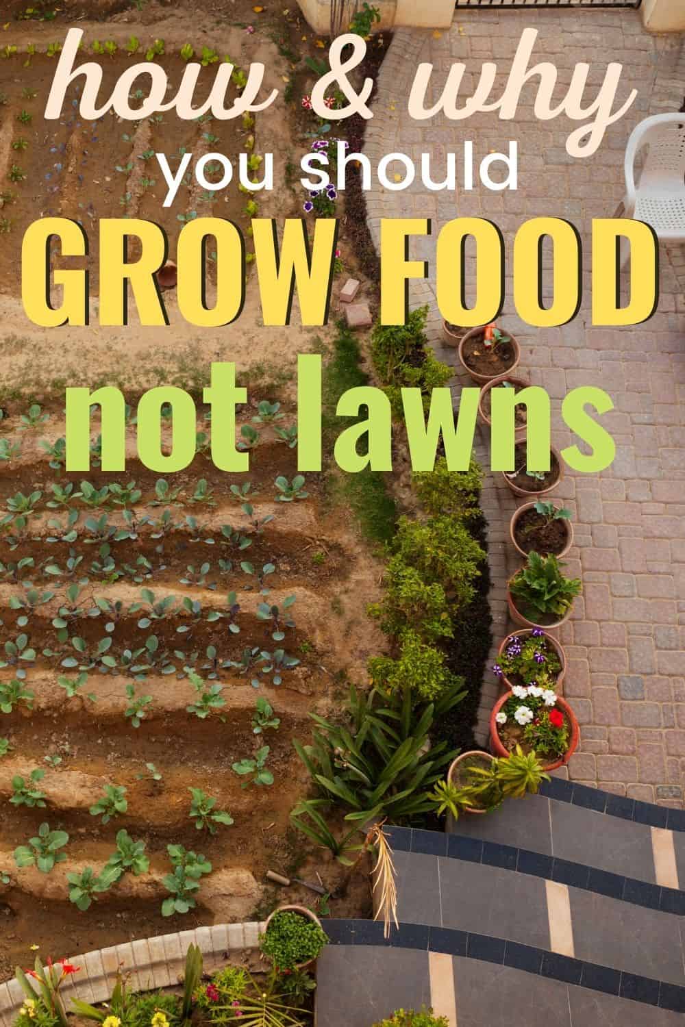 How and why you shuld grow food, not lawns