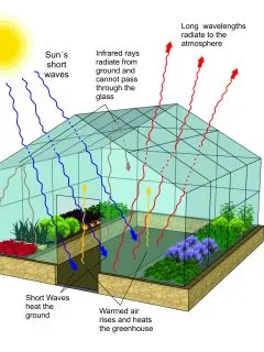 Diagram of how a greenhouse works