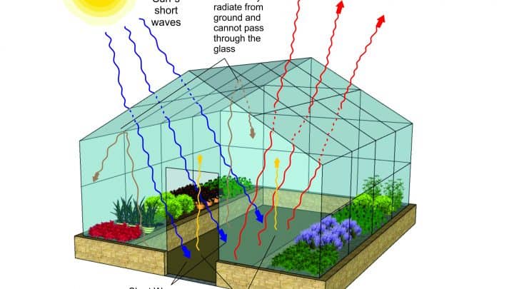 How Does A Greenhouse Work?