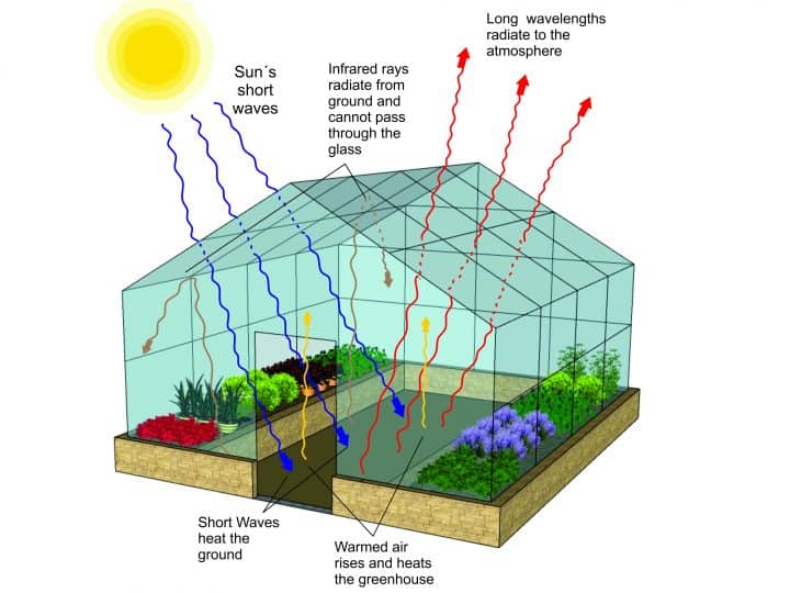 How Does A Greenhouse Work?