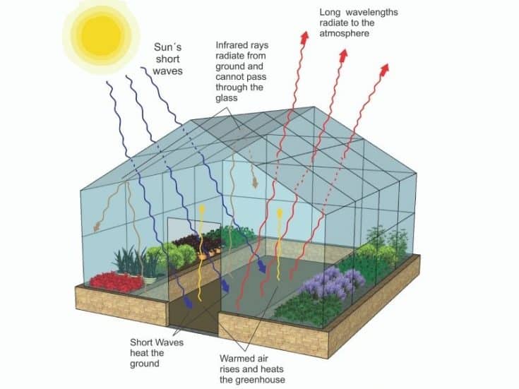 How Does A Greenhouse Work?