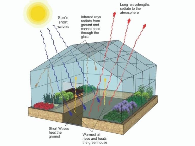 How Does A Greenhouse Work?