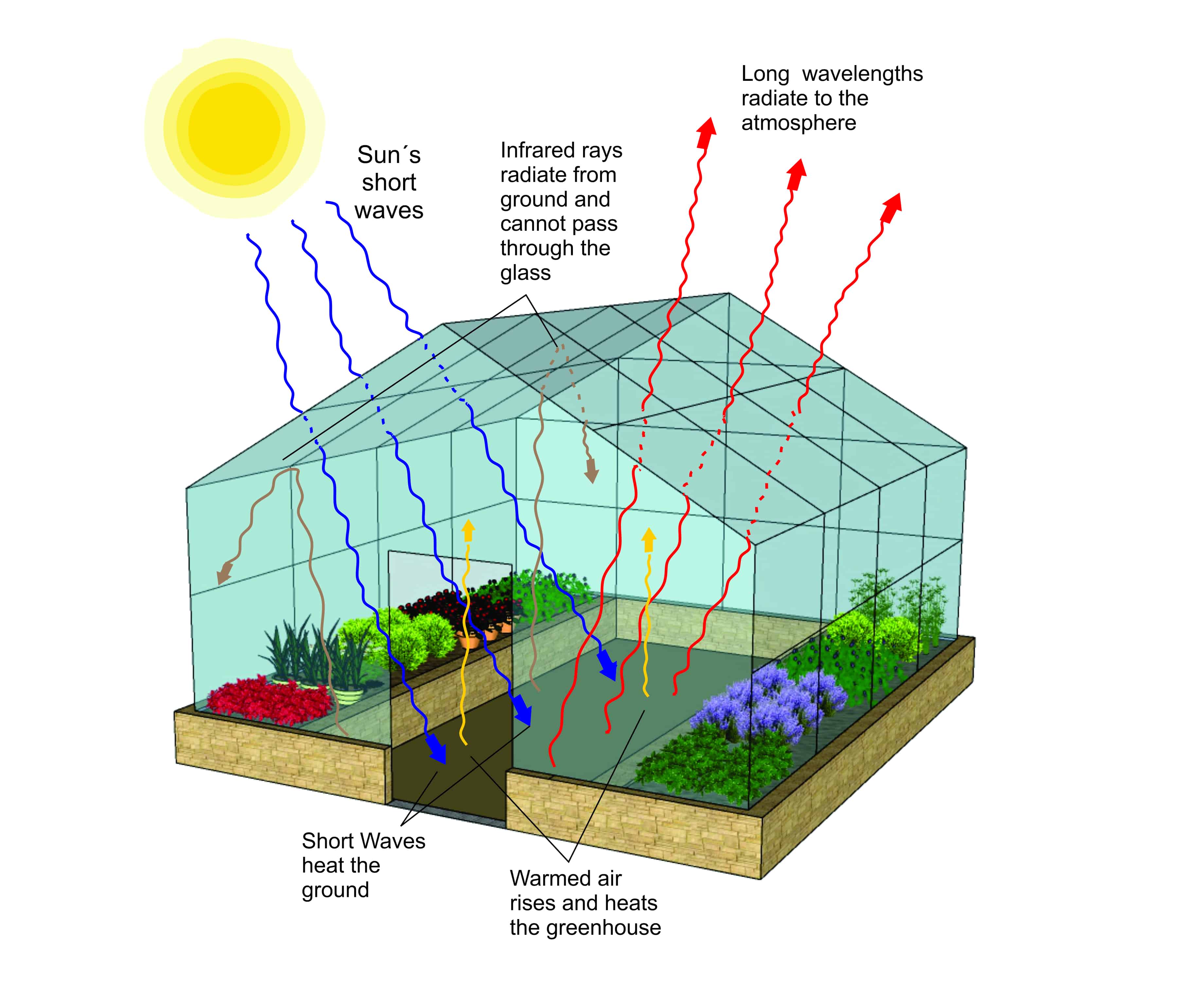 Diagram of how a greenhouse works