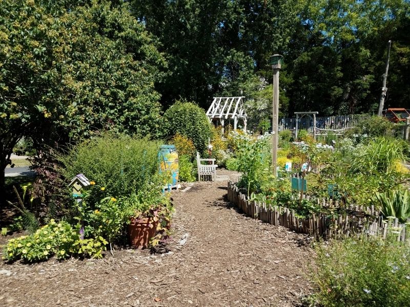 Mulch covered path in a big garden