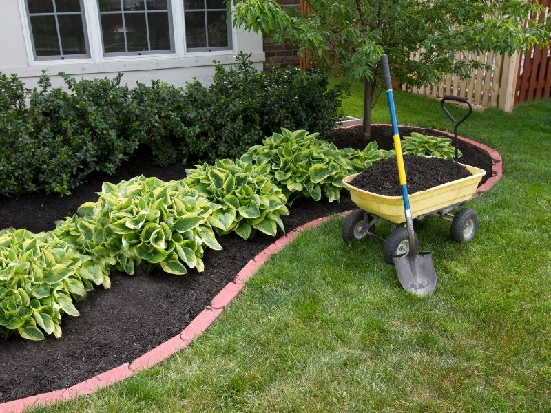 Freshly mulched garden bed