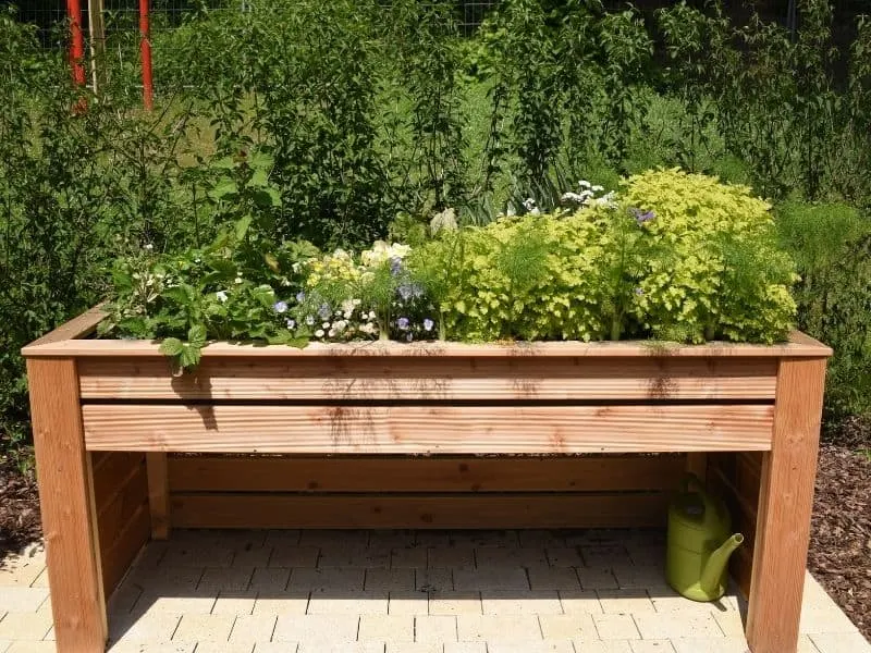 Raised bed with legs