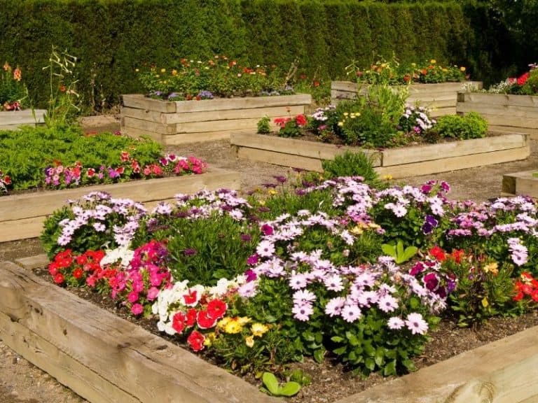 What Is A Raised Bed Garden? Tips & Ideas For Growing A Successful ...