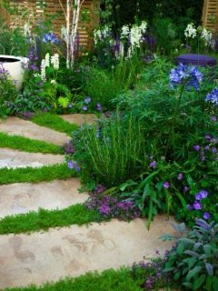 Stone garden path surrounded by blue, purple, and white flowers
