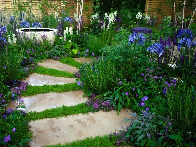 Stone garden path surrounded by blue, purple, and white flowers