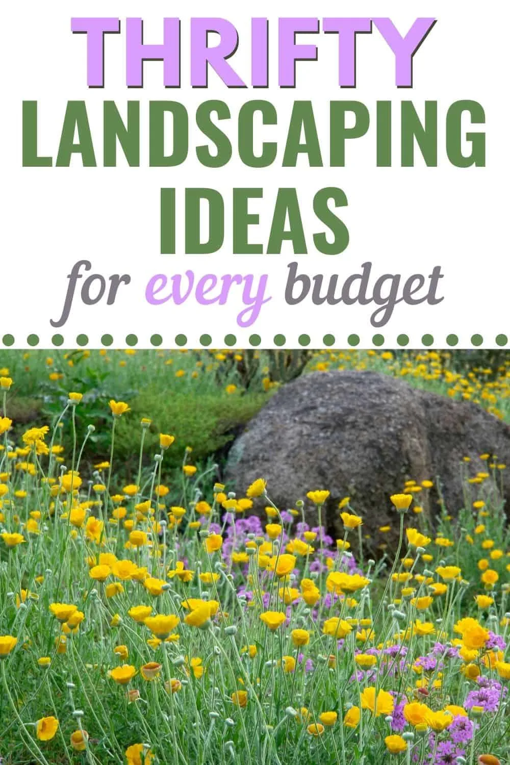 Thrifty landscaping ideas for every budget