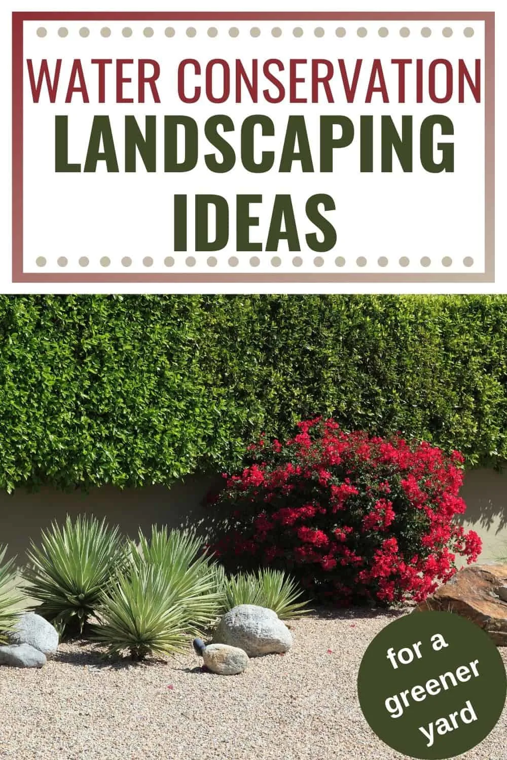 Water conservation landscaping ideas