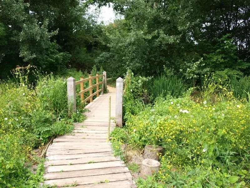 Wooden garden path that turns into a bridge