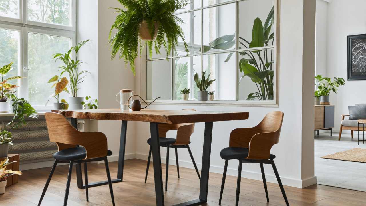 dining room with indoor plants fern palms