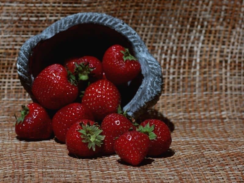 a bowl of freshly picked strawberries